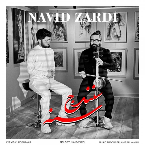 Navid Zardi - SNA (Sanandaj)