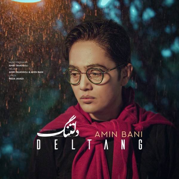 Amin Bani - Deltang