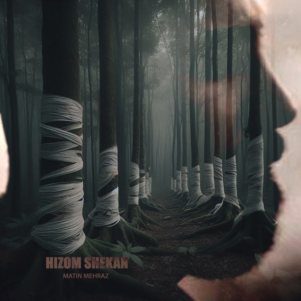 Matin Mehraz - Hizom Shekan