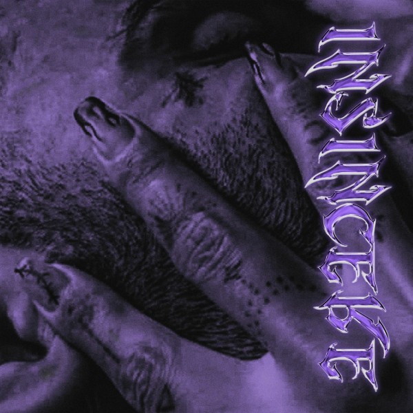 Dorcci - Insincere