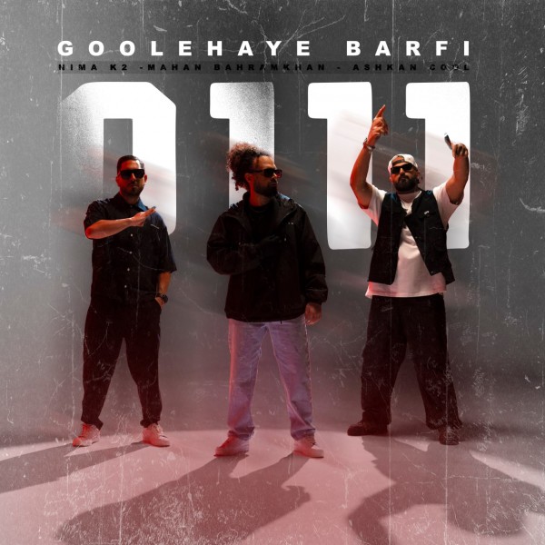 0111 - Goolehaye Barfi