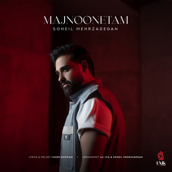 Soheil Mehrzadegan - Majnoonetam