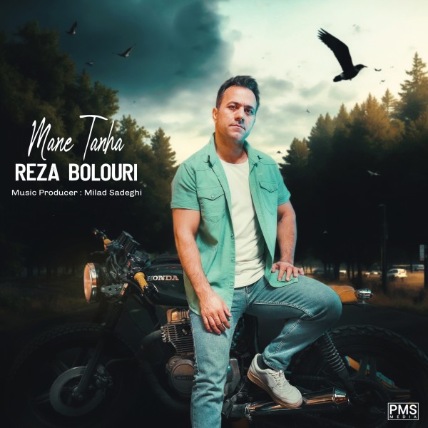 Reza Bolouri - Mane Tanha