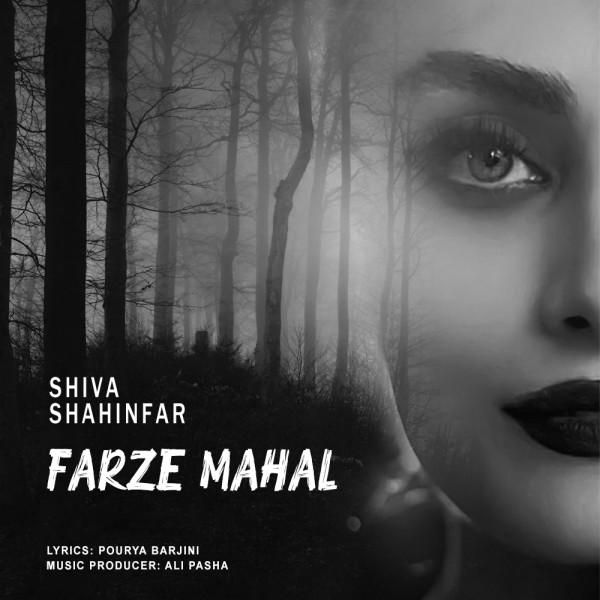 Shiva Shahinfar - Farze Mahal