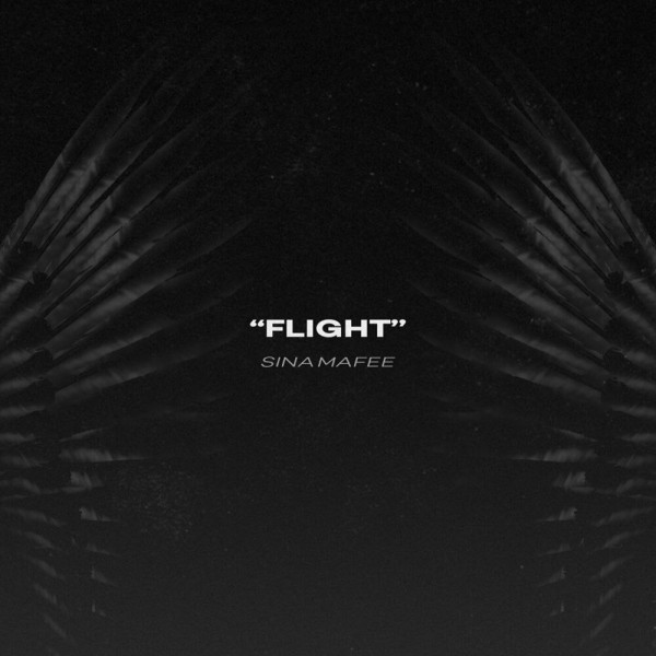 Sina Mafee - Flight