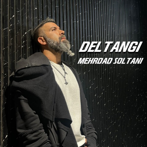 Mehrdad Soltani - Deltangi