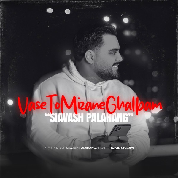 Siavash Palahang - Vase To Mizane Ghalbam